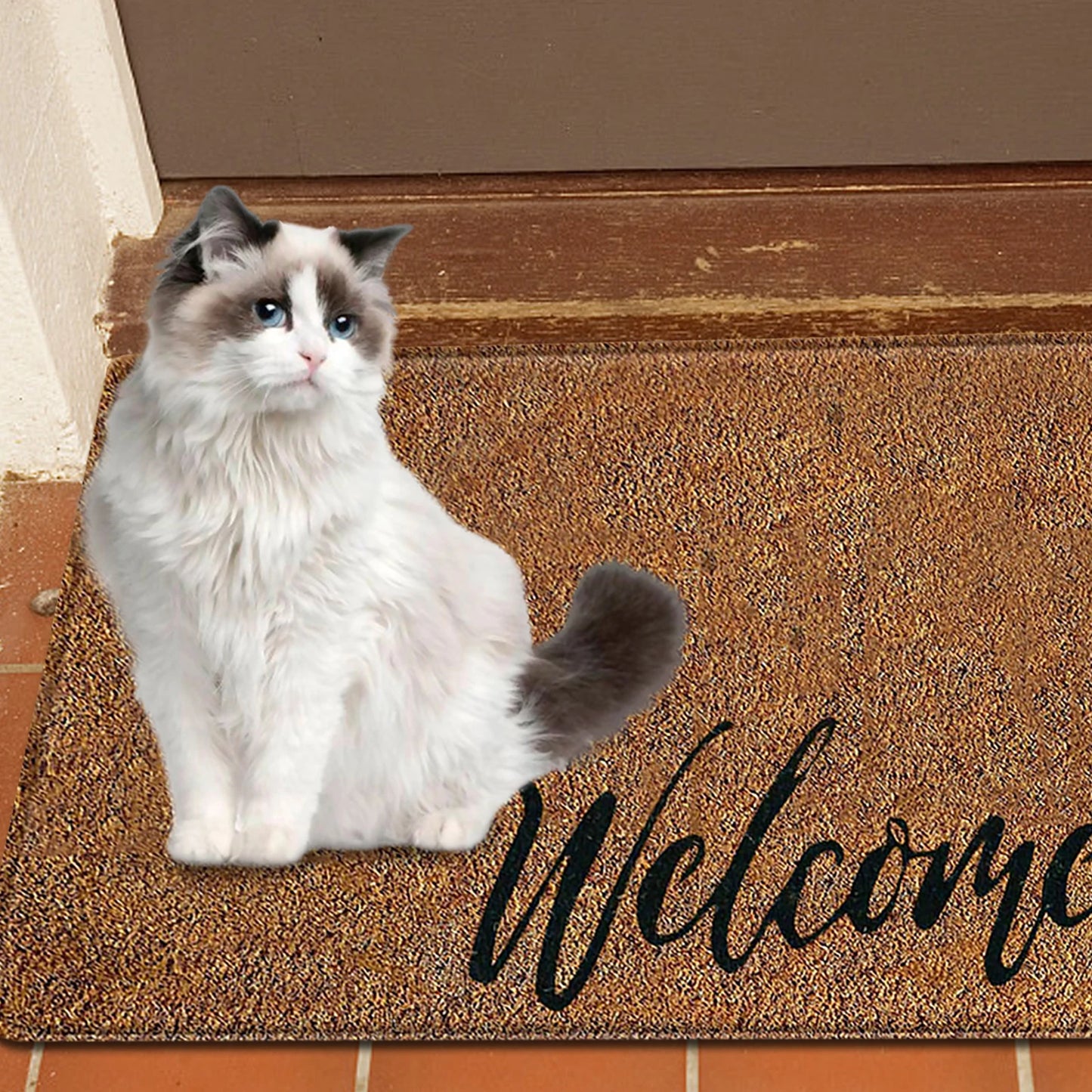 Front Doormats Indoor Outdoor Easy to Clean Floor Mat w/ Non-Slip Rubber Backing